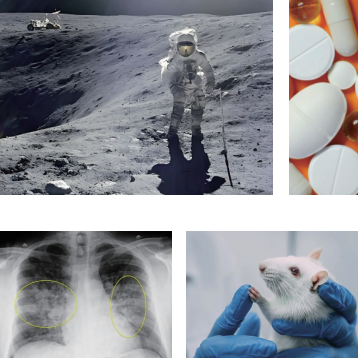 cf20c4710fb926af9cd25f6db8836374.png cf20c4710fb926af9cd25f6db8836374.png